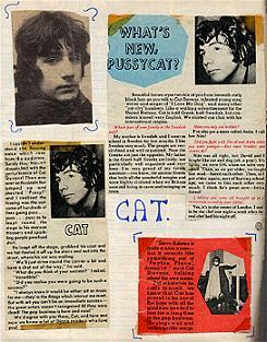 pussycat.JPG (28813 bytes)