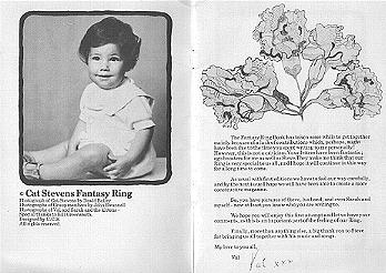 Pg2&3.jpg (24090 bytes)