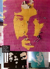 collegecat.JPG (20840 bytes)