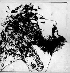 Catnip.jpg (21196 bytes)