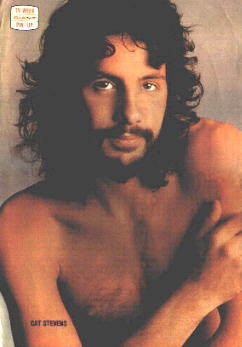 Catpinup.jpg (13747 bytes)