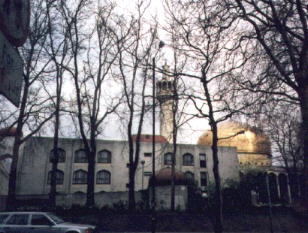 Mosq1.jpg (22187 bytes)