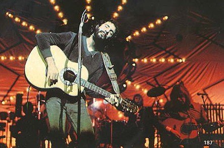 Cat swinging to his music