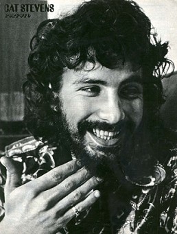 Close up of Cat in Pop Foto