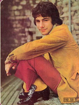 Fabcat1.jpg (22526 bytes)