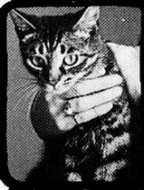 Kubby.jpg (10498 bytes)