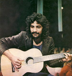 Veron.jpg (19663 bytes)