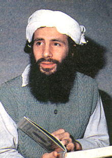 catyus3.jpg (16553 bytes)